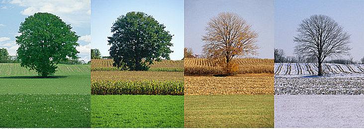 《师父》IGN 9分：最好的现代动作游戏之一