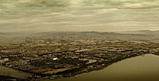 疯狂的高速树懒 竞速游戏新作《漂流木》即将发售